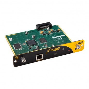 Карта расширения WAVES X-WSG I/O CARD 49918